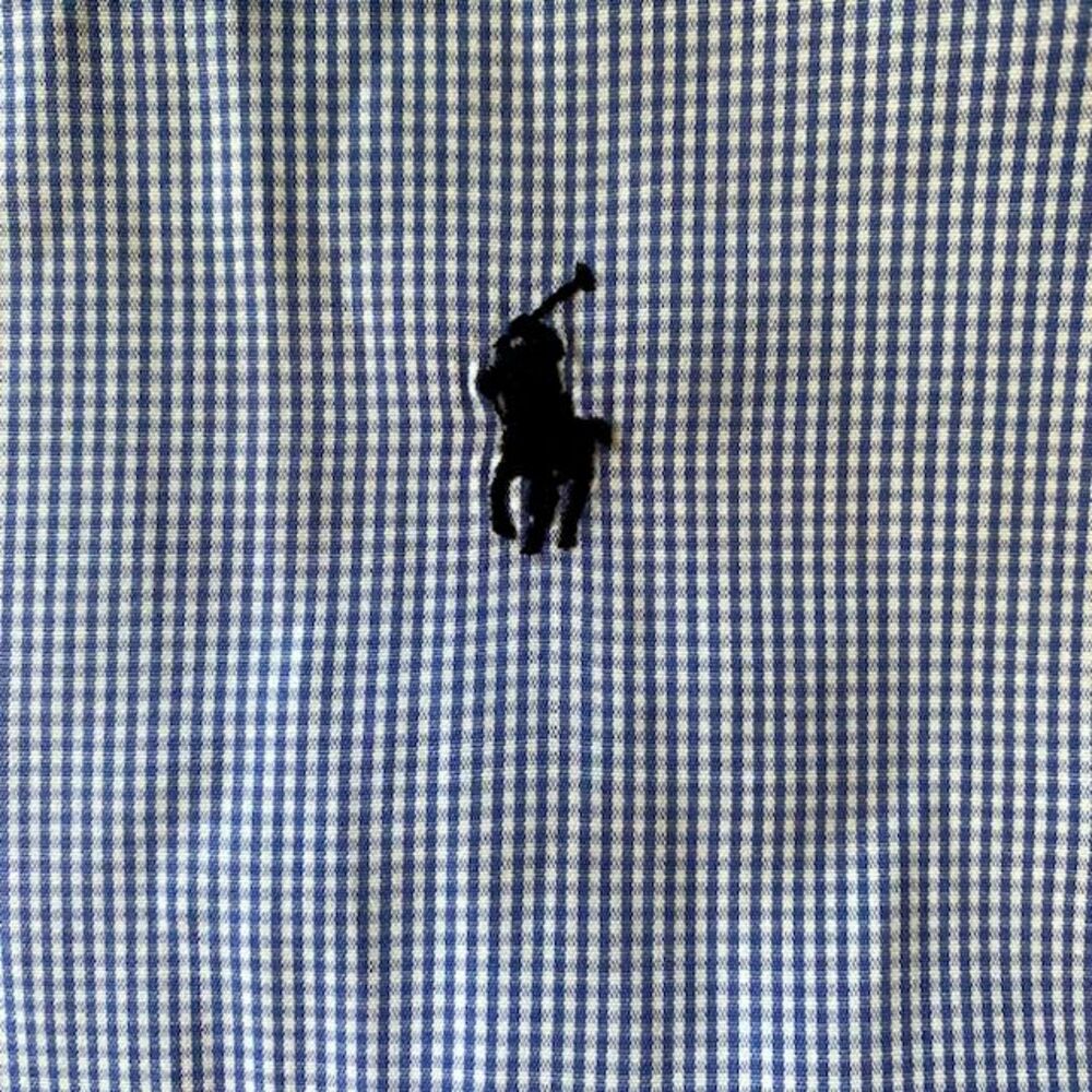 Mens Ralph Lauren Large L Blake Blue Small Gingham Check  Button Down Shirt